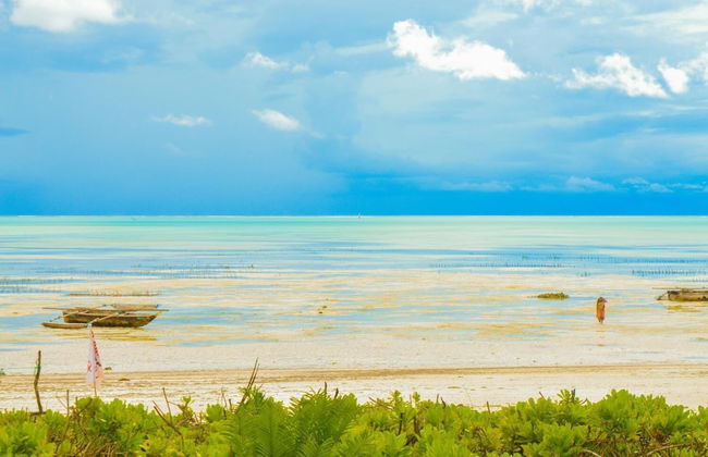 Jambiani House - Photo 32