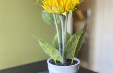 Hayy Studio Quiet Comfy Connected - Foto 22