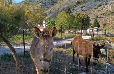 Casa Rural GUADALUPE de la fuenfria - Foto 21