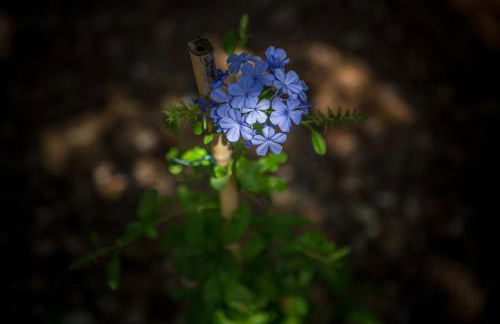 Eftychia Cottage House - Foto 66