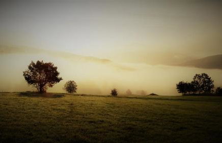 Maniówka - pokoje i domki w Bieszczadach - Foto 29