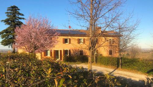 Cà Sabbioso - Photo 5, Garden