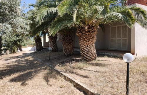 Villa del Palmeto - Foto 33