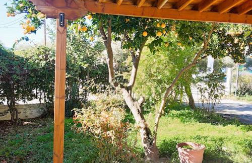 Lihas House - Photo 6