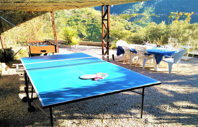 Hacienda Sol - Foto 38