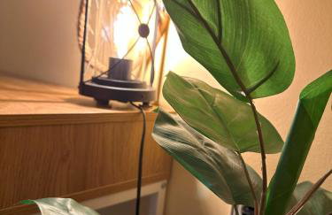 Elia Old Mansion - Foto 14