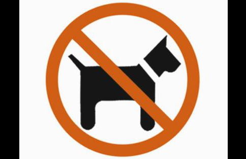 Alojamiento La Piragua - Photo 17