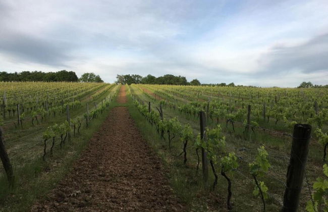 Family Retreat in Prats-du-perigord - Foto 35