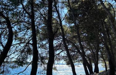 Mobile House Mona - Foto 29