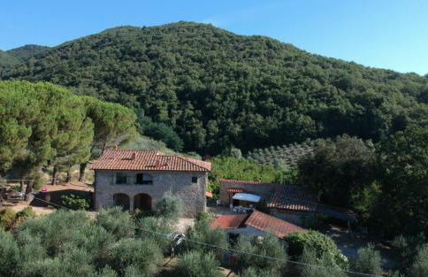 Agriturismo Fattoria Celle - Photo 23