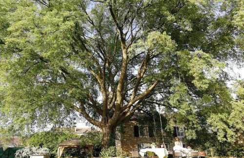 Boutique B&B Stancija 1904 Adults only - Foto 5