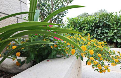 Green Garden House - Foto 27