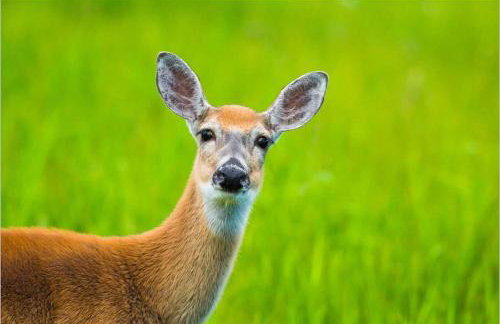 Relaxing Retreat on the edge of the Cotswolds - Foto 6