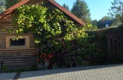 Agroturystyka Stokrotka - Foto 23