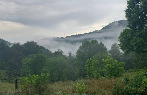 1878 Victorian Farm House near Asheville - Foto 47