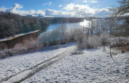 Petite maison vue sur Lac de la Triouzoune Neuvic - Foto 20