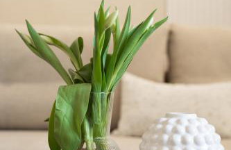 Hillhouse by MW Estates Self Check-in 24h - Photo 19