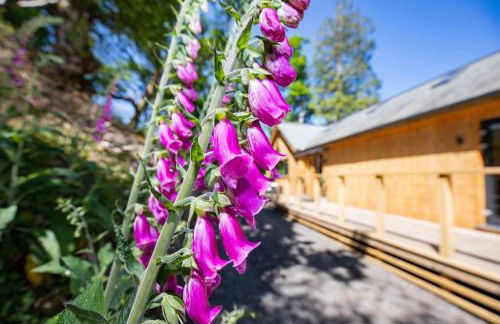 Tresillian Lodge Waterfront, Forest, Hot tub,Sauna - Foto 36