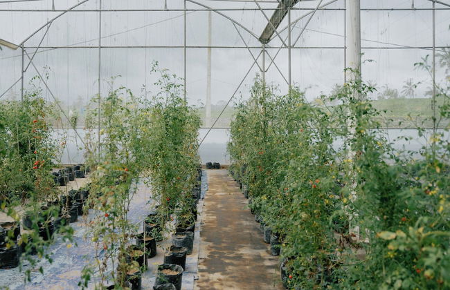 Sunyi Ubud - Photo 19