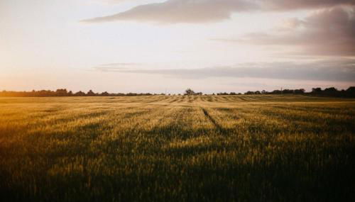 Gite au calme l'eclaircie - Foto 3