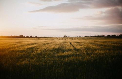 Gite au calme l'eclaircie - Foto 3