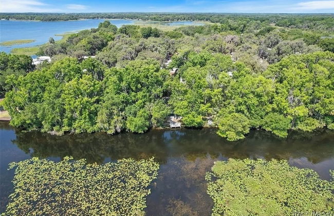 Rustic Lakehouse kayaks fishing bonfires - Foto 19