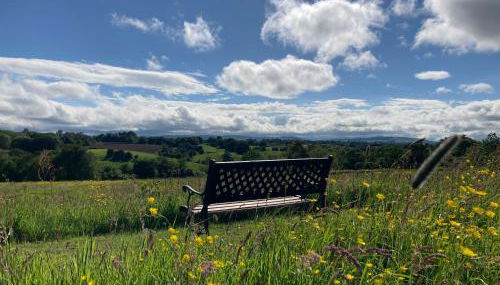 The Shepherd's Hut with cozy logburner - Foto 5
