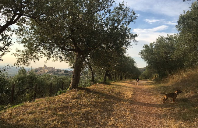 Setter House Agri Hotel - Foto 65