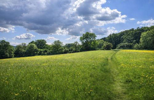 A Somerset Countryside Lodge - Foto 12