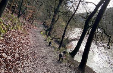 Symonds Yat West Holiday Cottage 8 WRC with views of Yat Rock - Foto 12