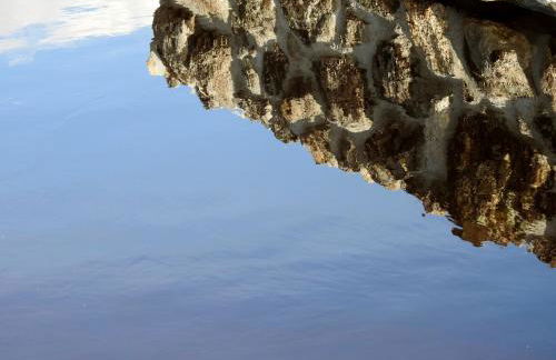 Bubulcus and Bolotas - Off Grid Nature Holiday Home - Foto 19