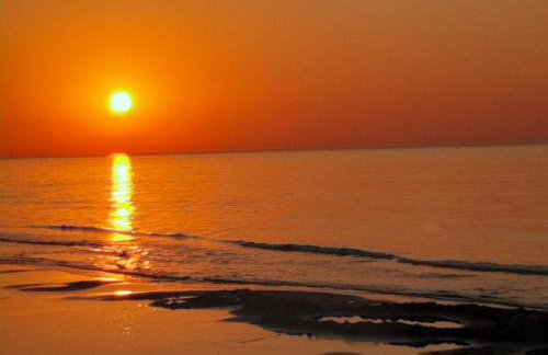 Magico Posto - Foto 44