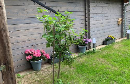 HeideZeit No 4 - Foto 10