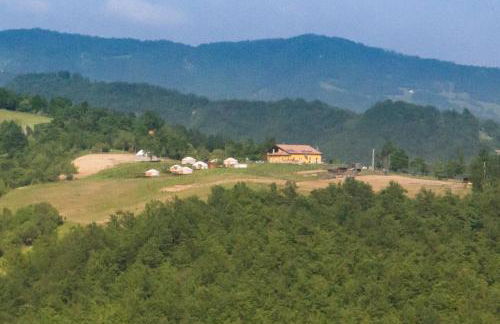 Società Agricola Cacigolara - Photo 23