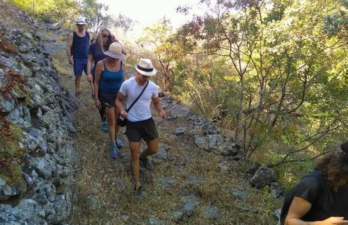 Avgonima Chios Spitakia Cottages - Photo 20