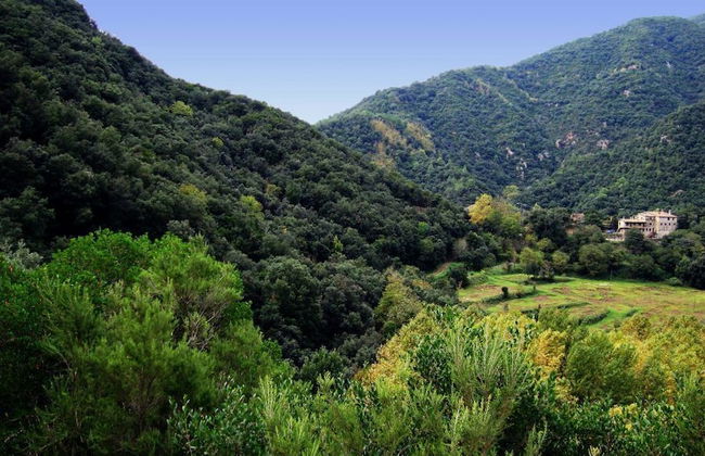 Mas Els Terrats - Foto 53