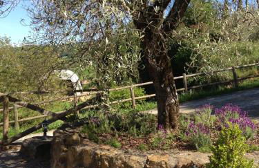 Podere Poggio Benedetto - Foto 14