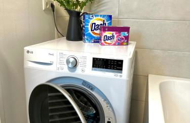 Oasis Appart - Wohnen im Königspark - Elbhang Dresden - große Terrasse - Netflix - TG - Foto 23