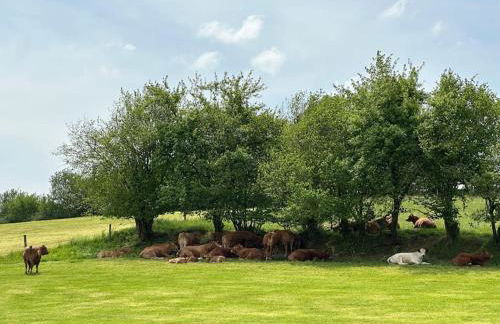 Ferienwohnung Krone 2 - Mernes - Foto 30