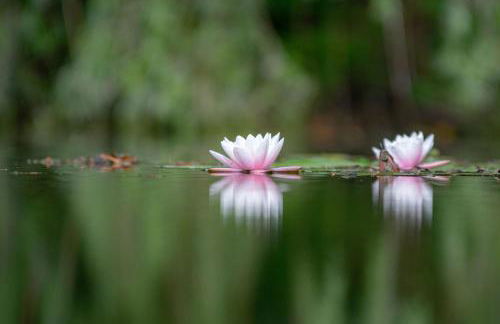 RESIDENCE Rive Droite - Foto 19