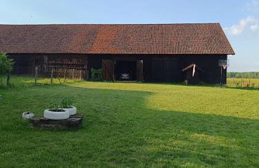 Siedlisko Wilczyny - Foto 13