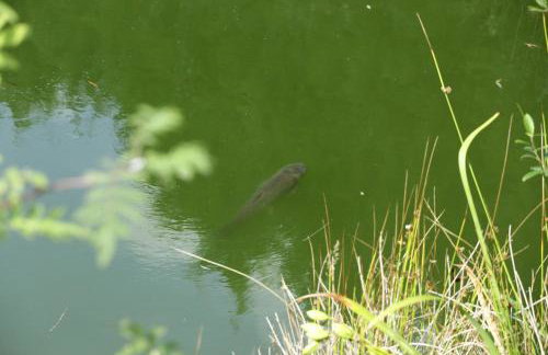 Thonock lane lodge - Foto 25