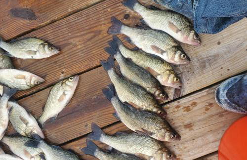 the bachelorette - Foto 56