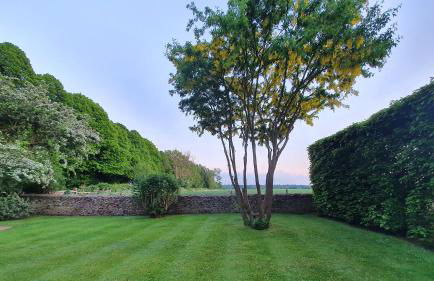 Charlton Down Cottage - Foto 4