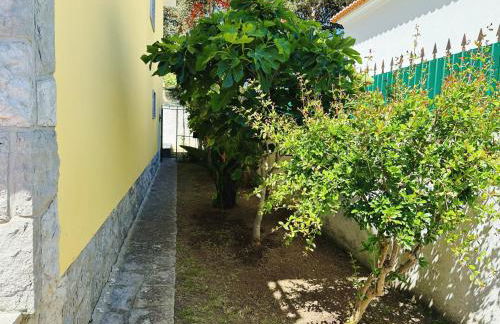 Bay Golf House - Foto 57