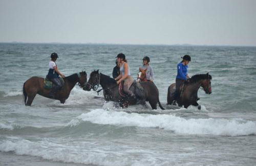 le Colibri "3 étoiles" - Foto 28