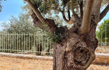 Appartement Villa Pasithea - Photo 10