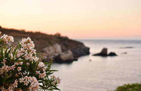 Lydia House by Elefthia Syros - Foto 24