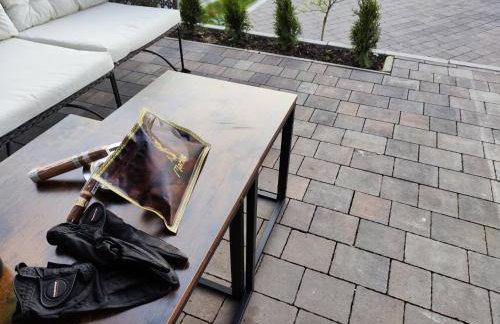 Vigor Horses - Foto 76