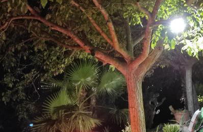 Donna Caterina House -Sicily-Hot tub, private parking, WI-FI - Foto 47